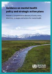 Guidance on mental health policy and strategic action plans:  Module 5. Comprehensive directory of policy areas, directives, strategies and actions for mental health