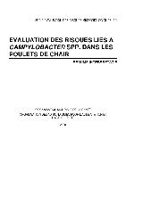 Evaluation des risques liés à Campylobacter spp. dans les poulets de chair: résumé interprétatif