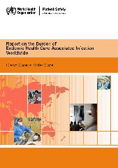 Report on the Burden of Endemic Health Care-Associated Infection Worldwide