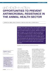One Health in action: Antimicrobial resistance in the animal health sector