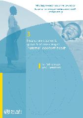 Impact on economic growth of investing in maternal–newborn health