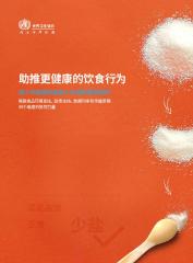 助推更健康的饮食行为 ：减少中国居民盐摄入的创新案例研究