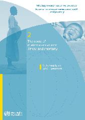 The costs of maternal–newborn illness and mortality