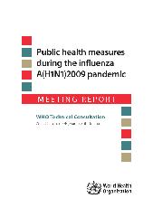 Public health measures during the influenza A(H1N1)2009 pandemic