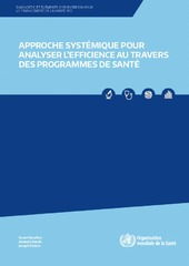 Approche systémique pour analyser l’efficience des programmes de santé