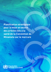 Planification stratégique pour la mise en oeuvre des articles liés à la santé de la Convention de Minamata sur le mercure